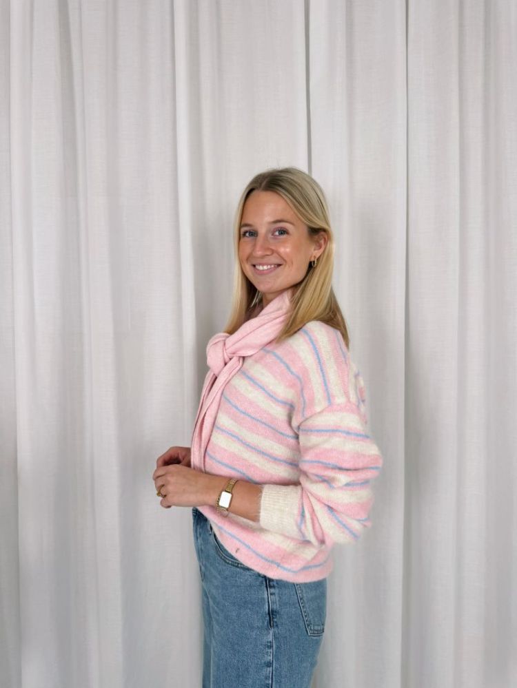 Amie Polo Knit Beige / Pink